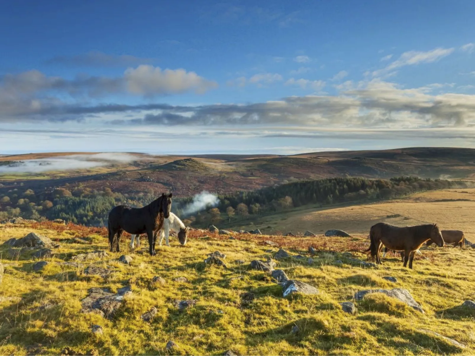 Gemütliches Familienhaus am Meer-Buiten