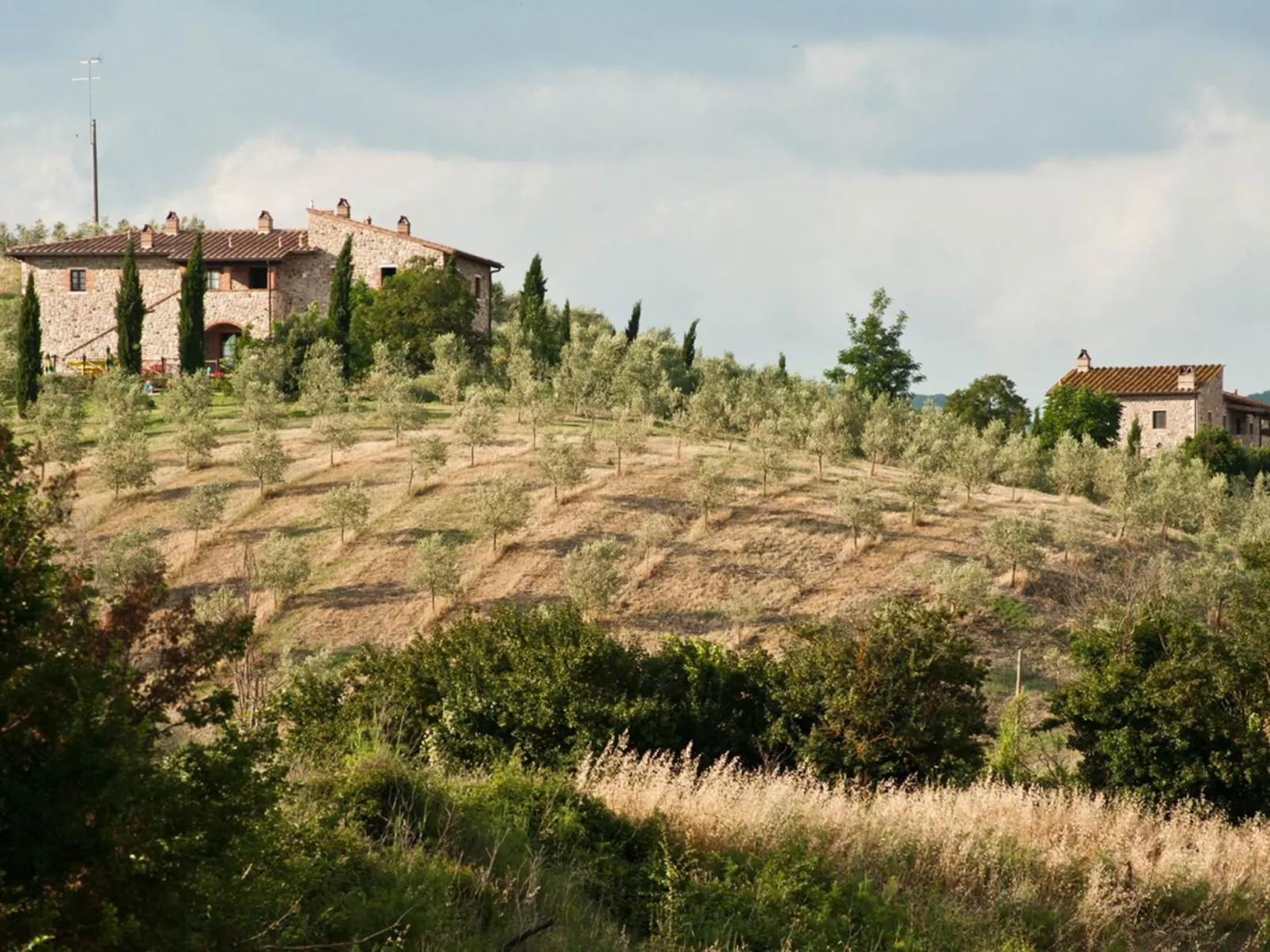 'Rosa' mit Pool-Image-tags.info