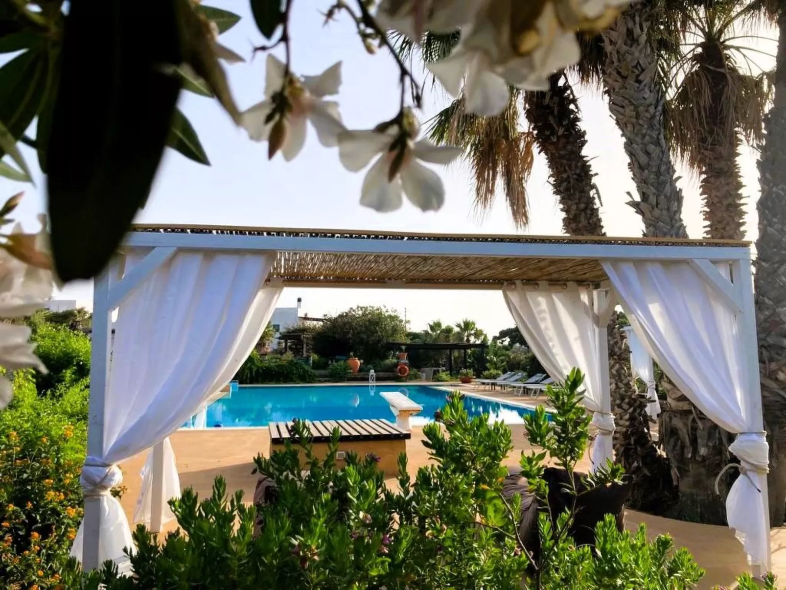 Exotic Suite in Pantelleria-Image-tags.info