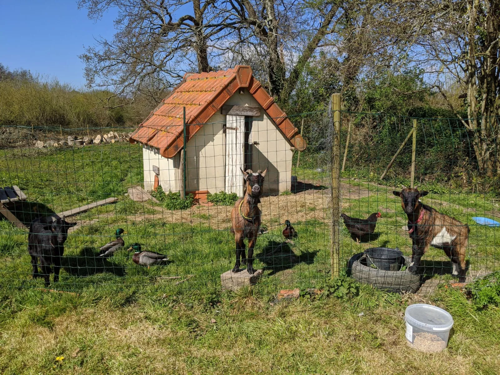 Estate "Le Pressoir" (Die Kelterei)-Buiten