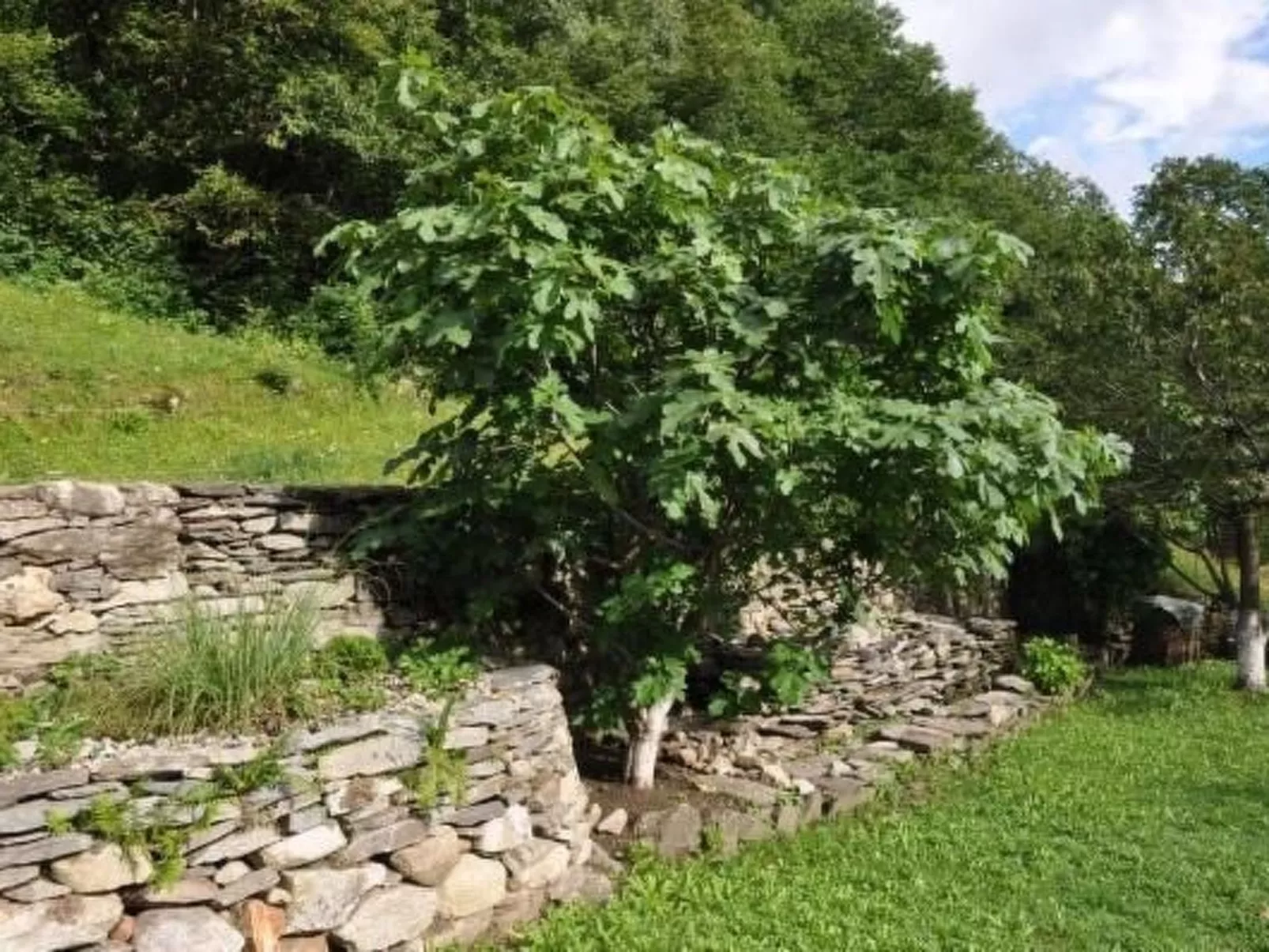 Casa Bella Vista-Image-tags.info