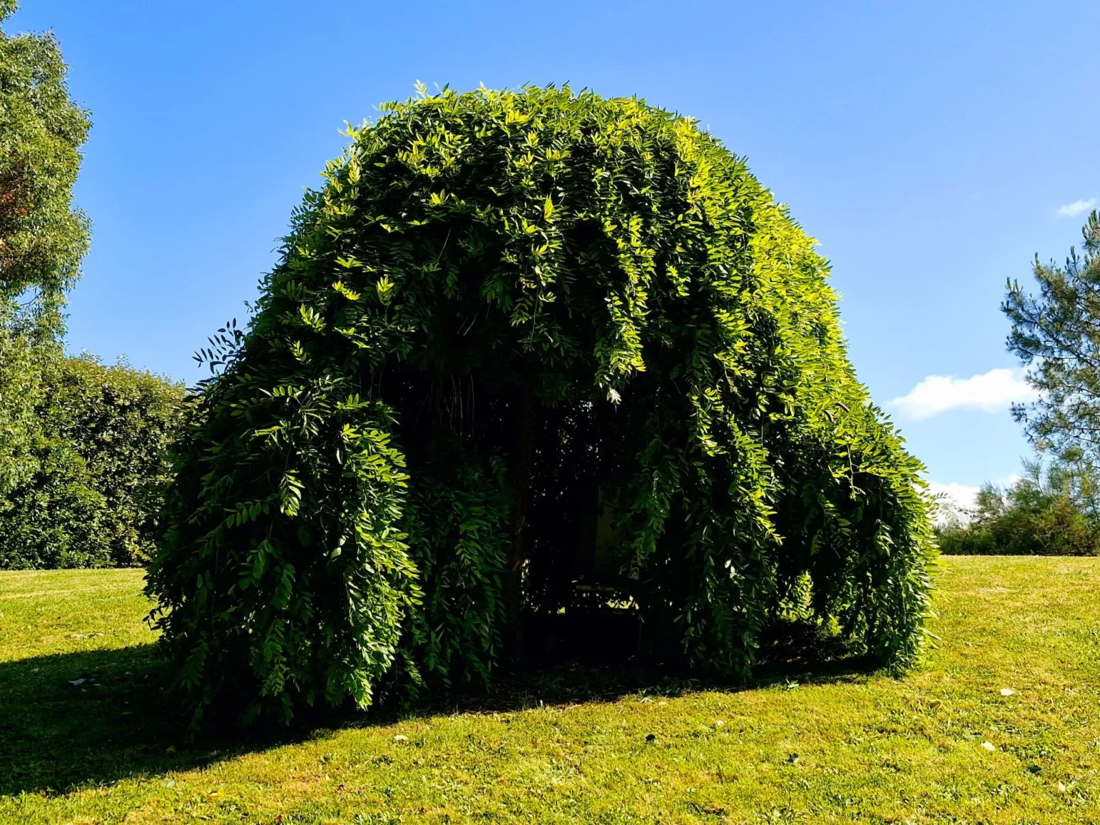 Le domaine des roseraies, Unterkunft Maupassant-Buiten