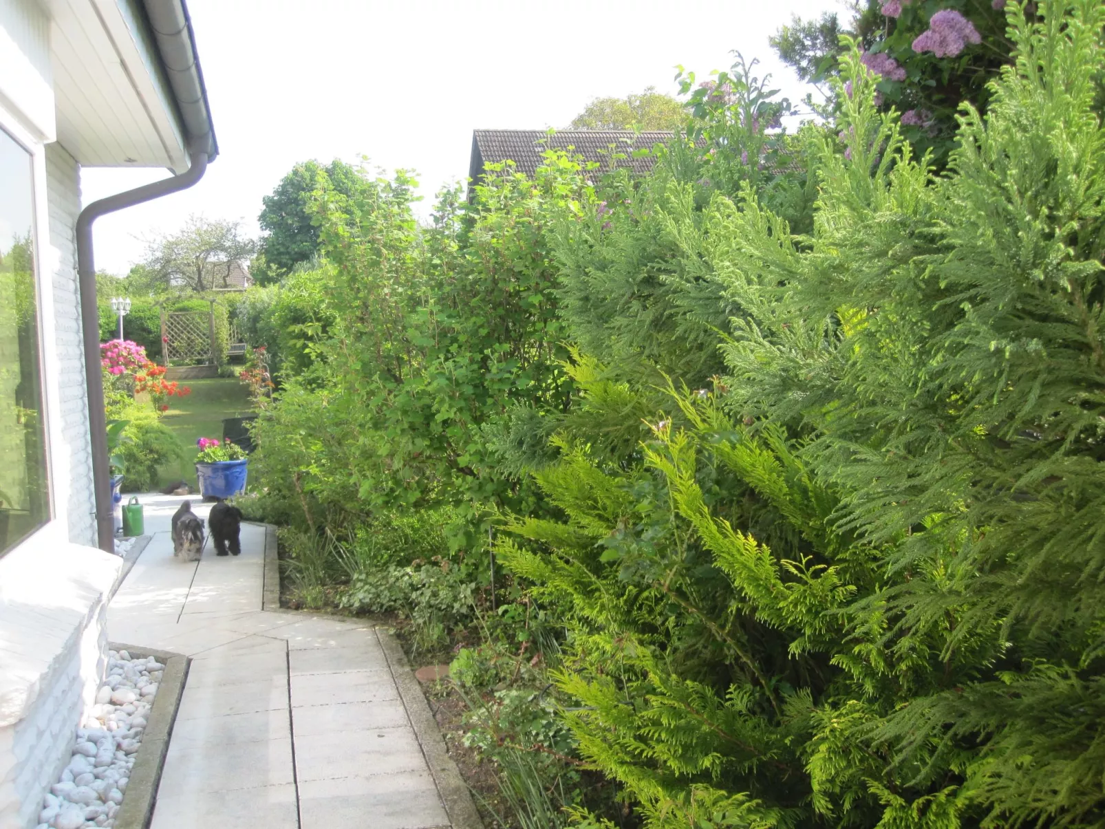 Landhaus am See-Buiten