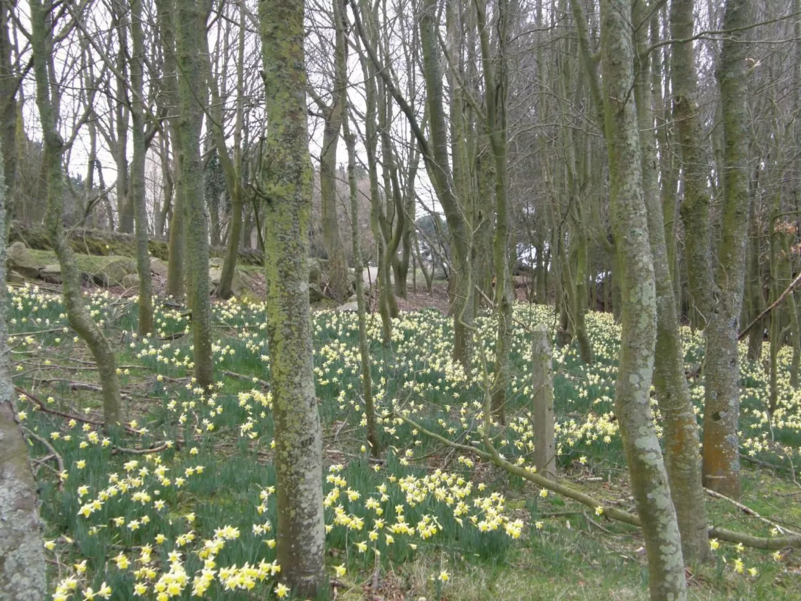 "Tromeal Lasalle" blick auf das Meer. Mit 4 Sternen klassifiziert-Buiten