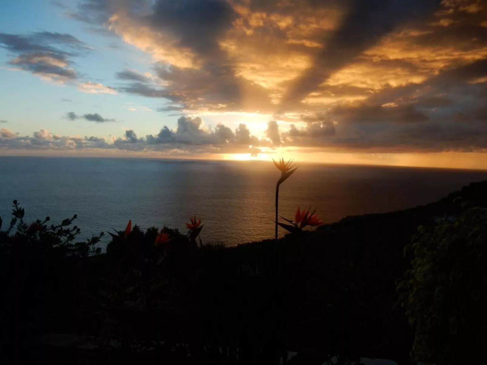 Geräumige Wohnung mit Panoramablick-Image-tags.info