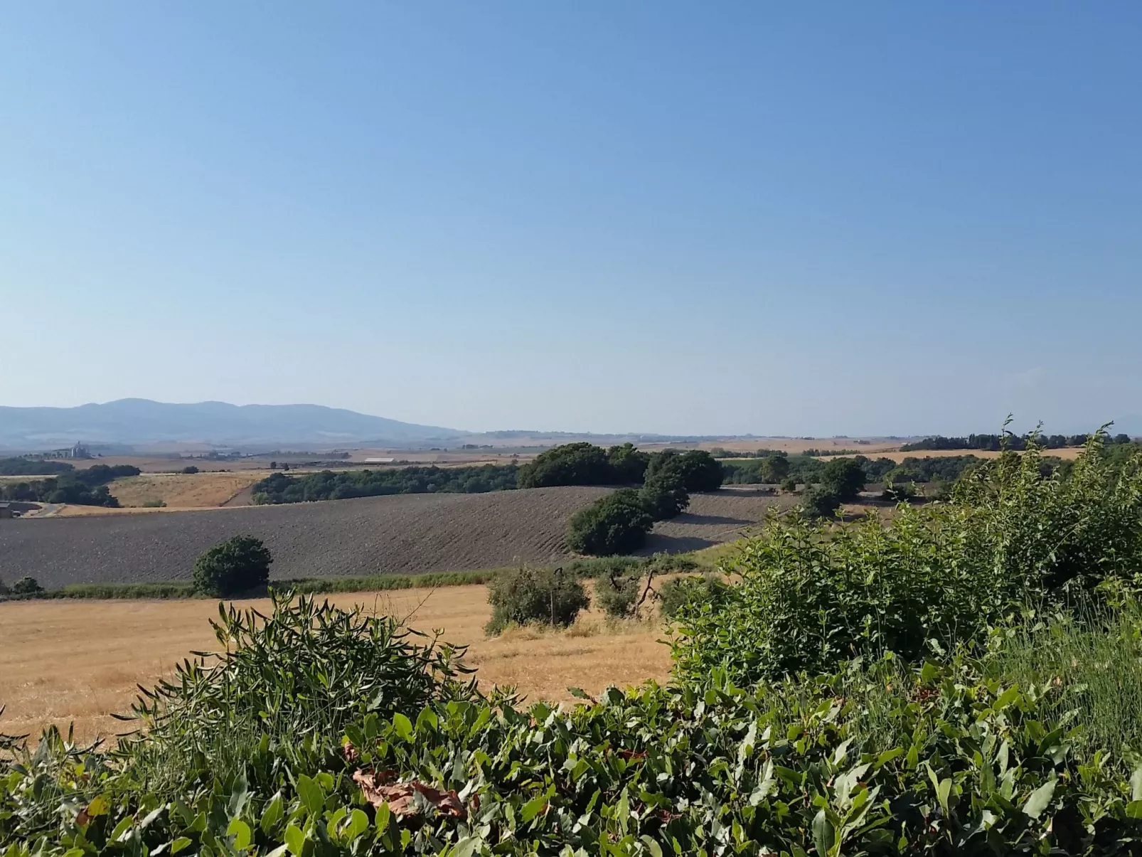 Pieve pomaia' Studio mit Gemeinschaftspool-Buiten