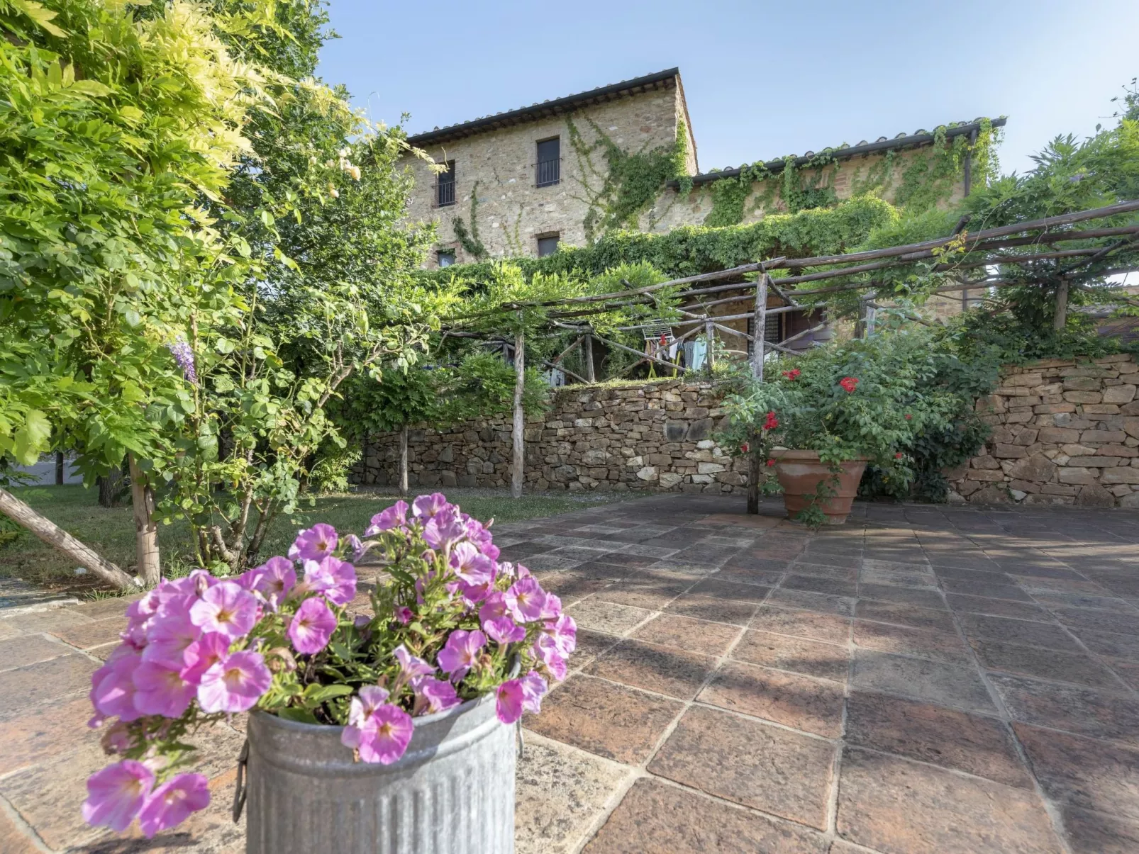 Mascie Merlo-Image-tags.info