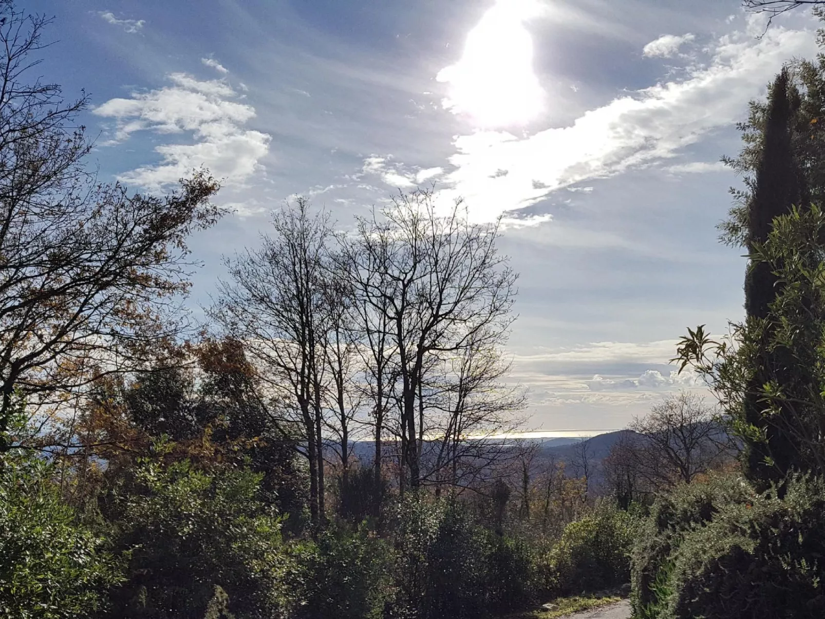 Komfortable und entspannende Wohnung-Buiten