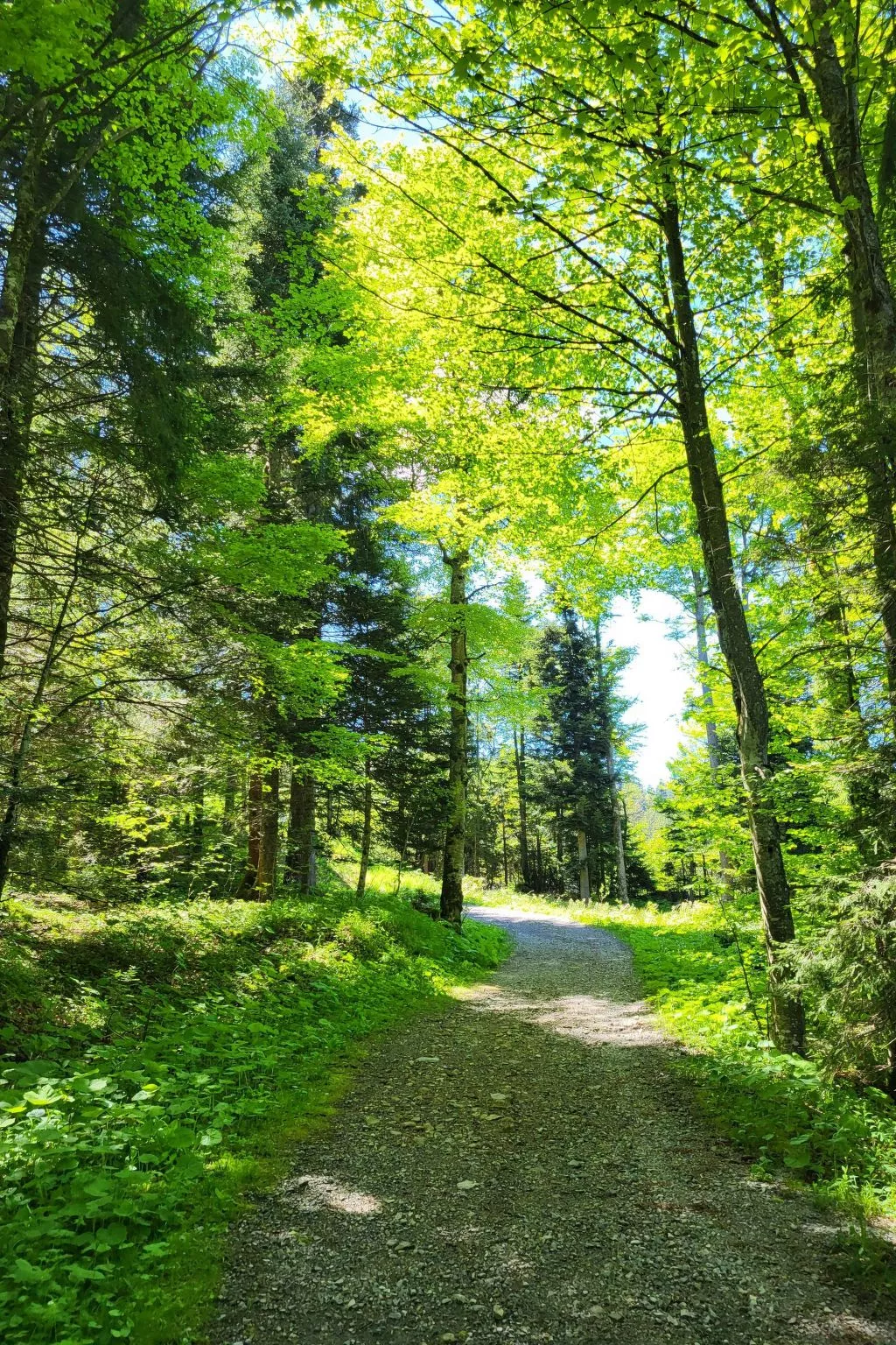 Fewo Pistenblick-Buiten
