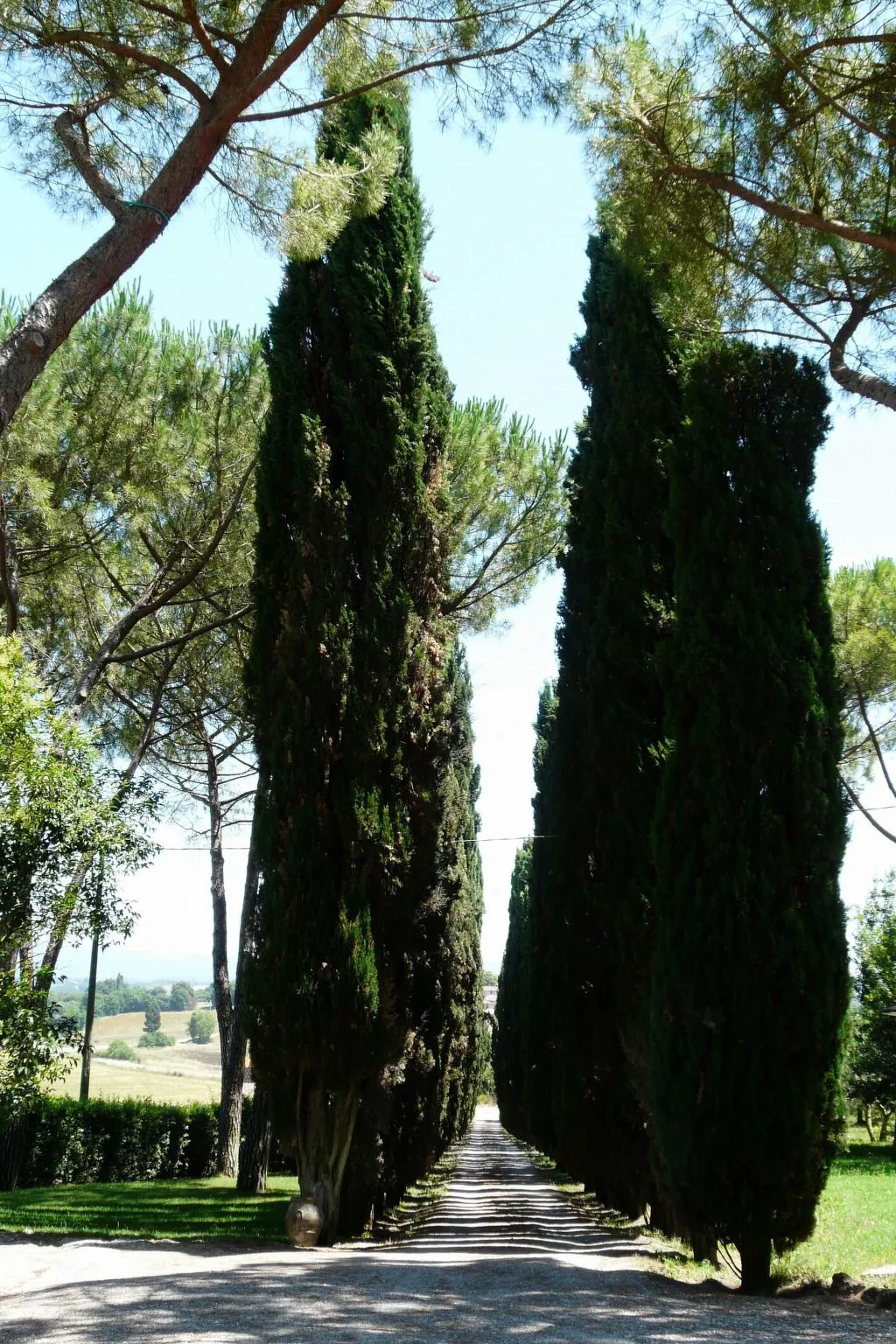 Wohnung 'Santinovo Camino-Buiten