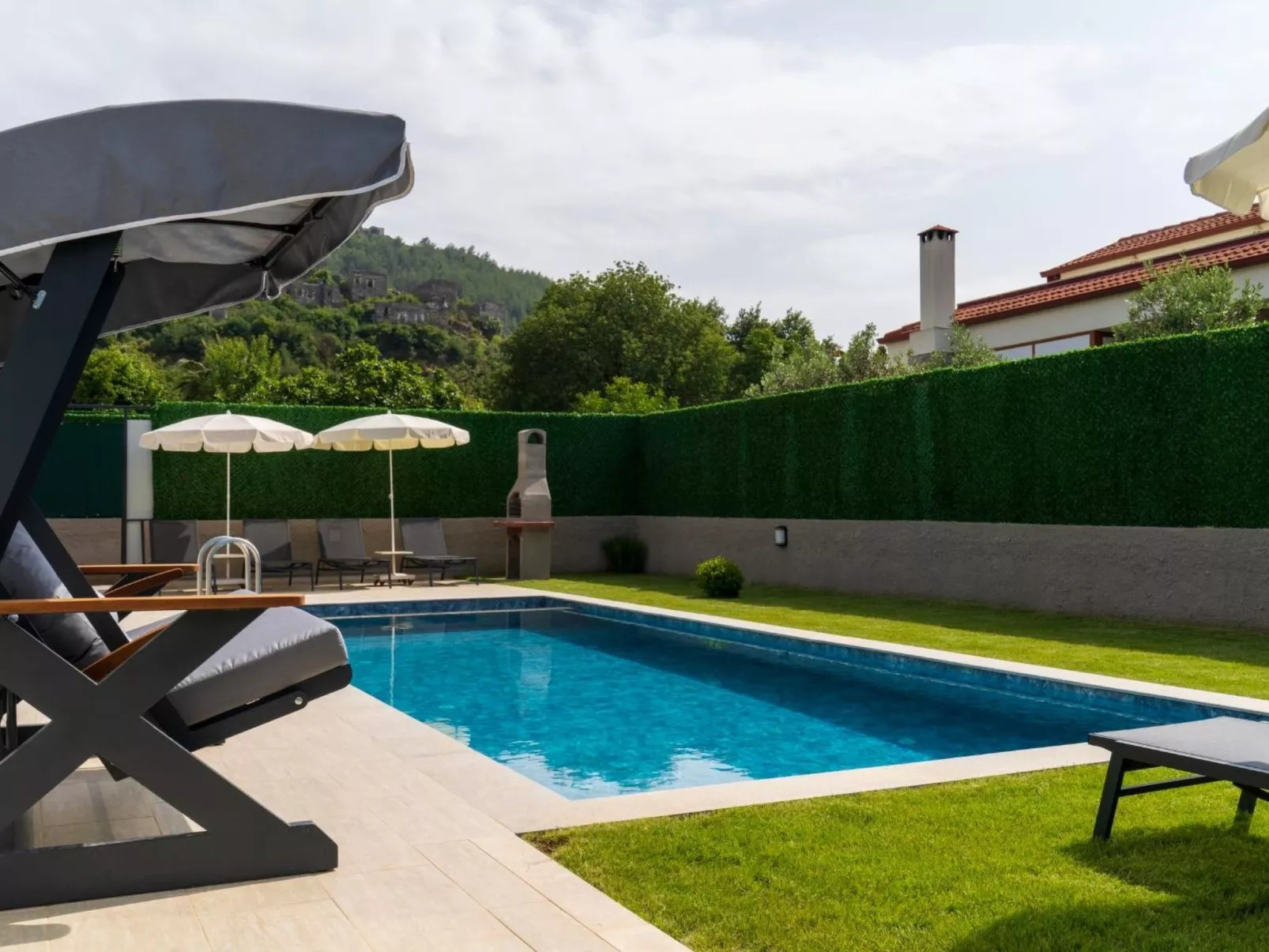 Zeytin-Image-tags.info