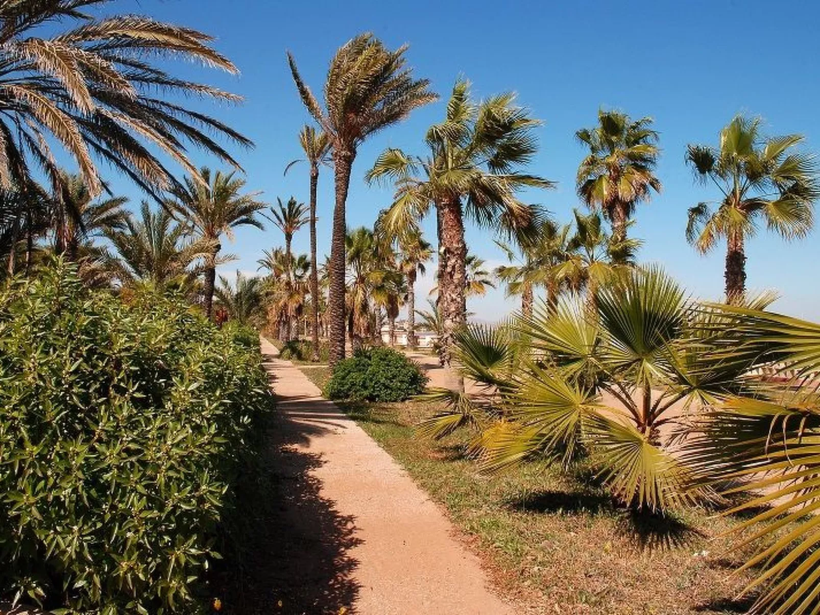 Molino 24-Image-tags.info