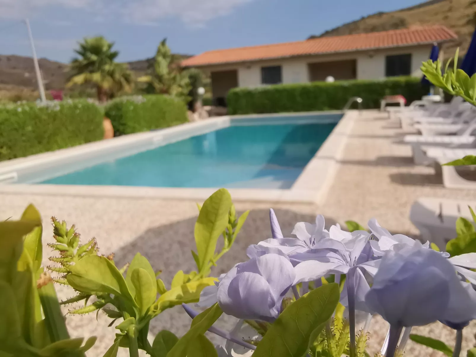 Wohnung 1 Zwei-Zimmer-Wohnung in Cattolica Eraclea-Buiten