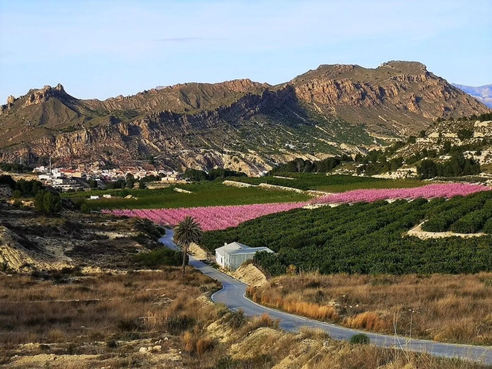 Domicilio de Vida-Buiten