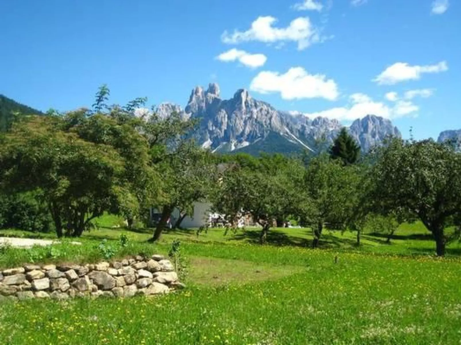 Romantisches Chalet in den Wiesen der Dolomiten-Buiten