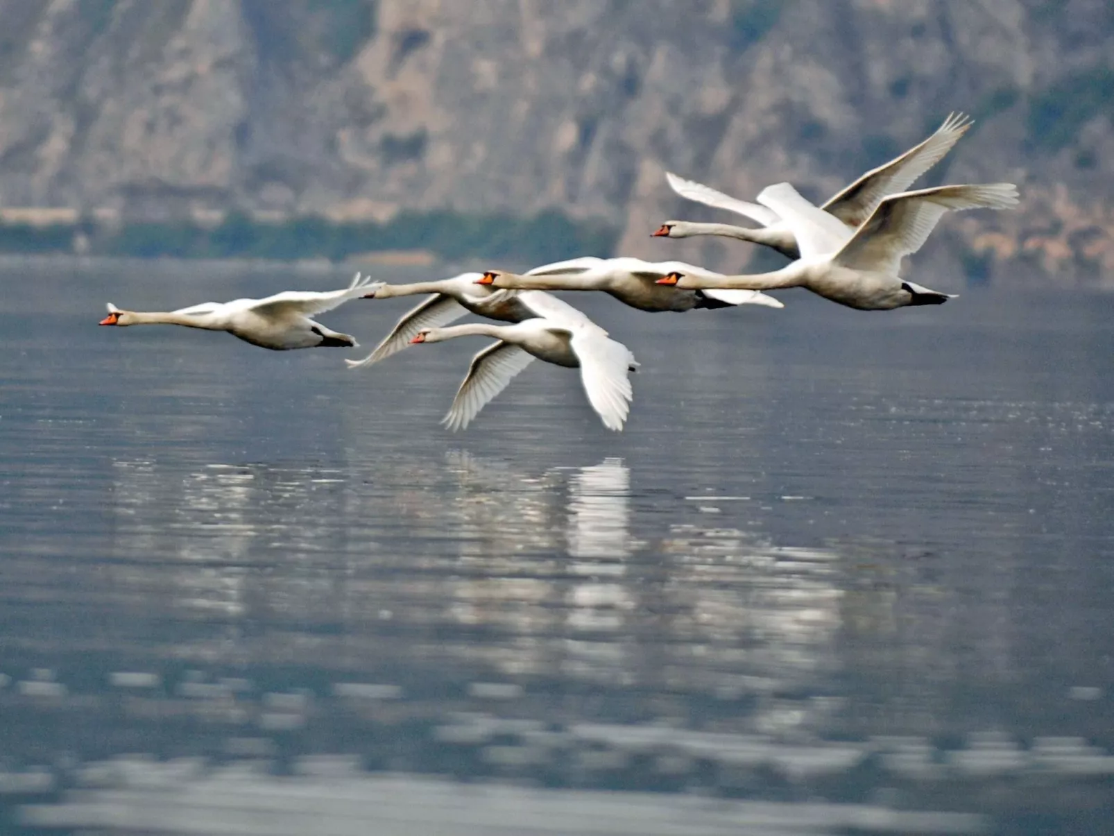 Studio-Apartment mit Zwischengeschoss in einem historischen Gebäude in Zorzino-Buiten