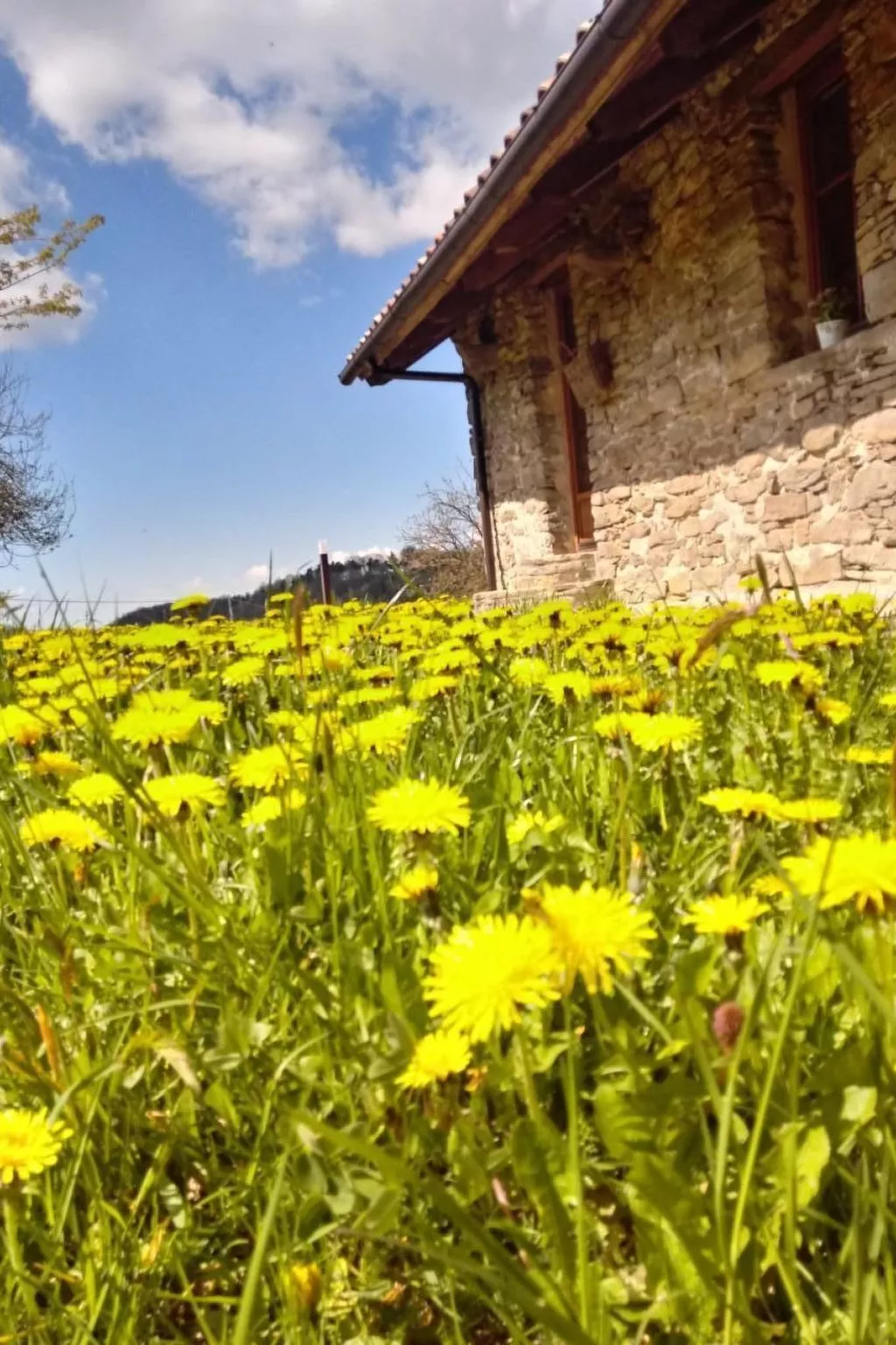 Piccola casa romantica-Buiten