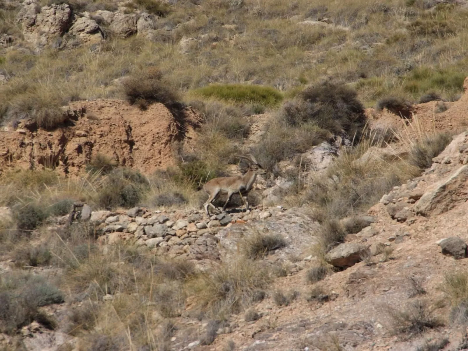 Schöne Villa für 6 Personen mit Schwimmbad-Image-tags.info