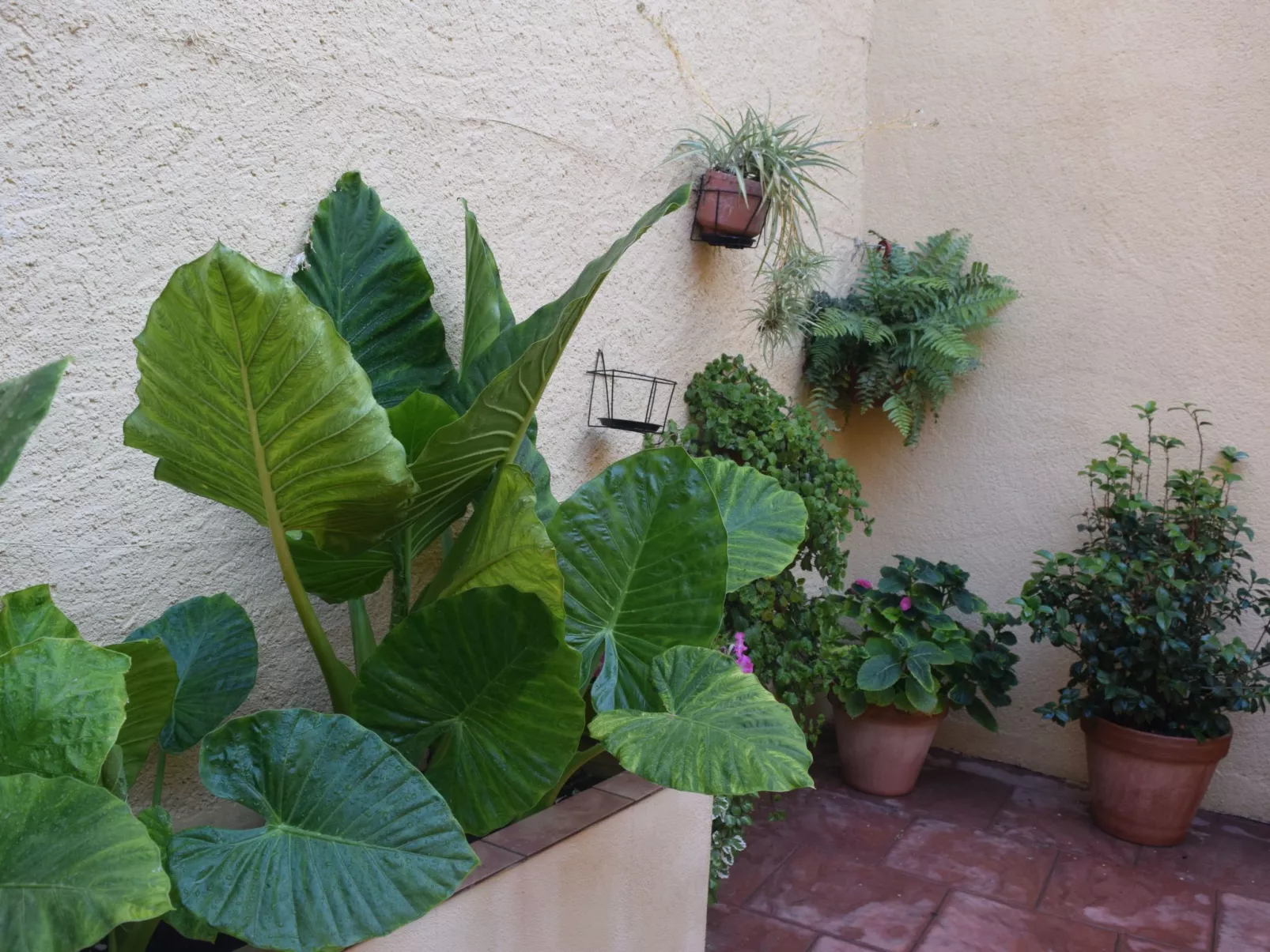 Fachwerkhaus "Casa Entera".-Image-tags.info