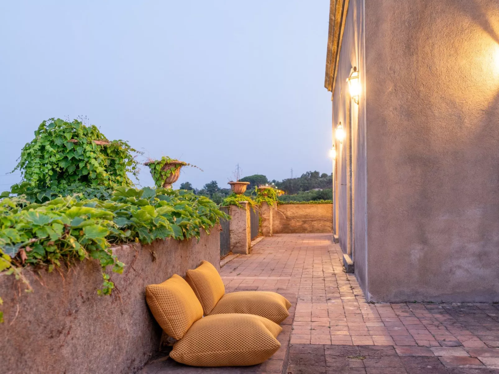 Avocado Garten-Image-tags.info