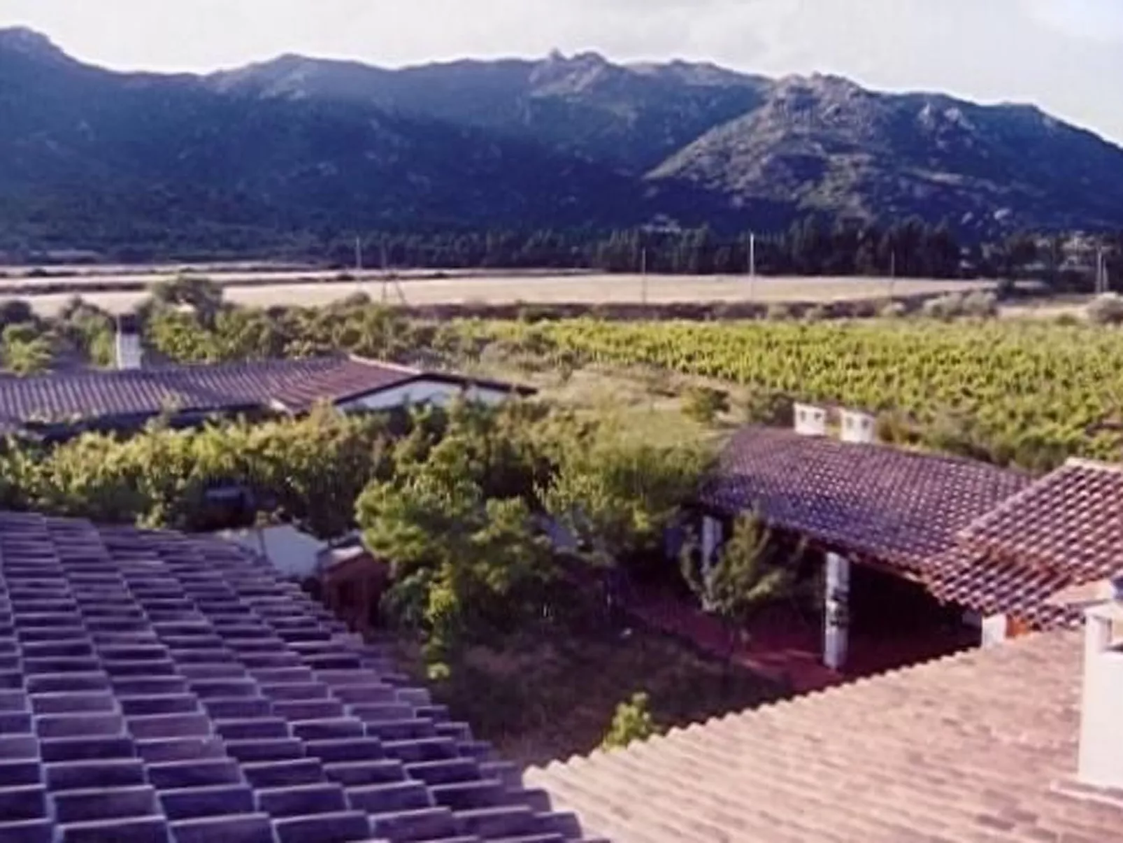 Natur, ökologische Nachhaltigkeit, nur für Erwachsene, Meer in der Nähe-Image-tags.info