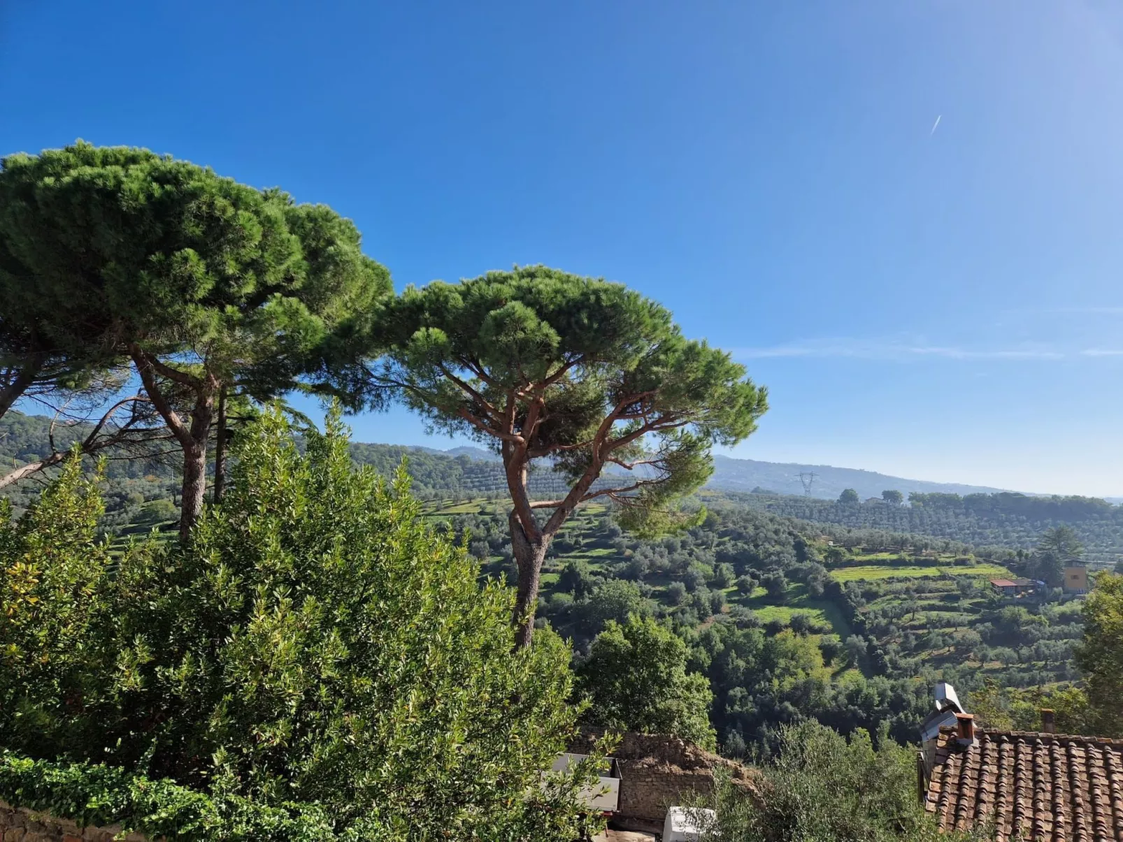 Papalino Charmantes Haus-Image-tags.info