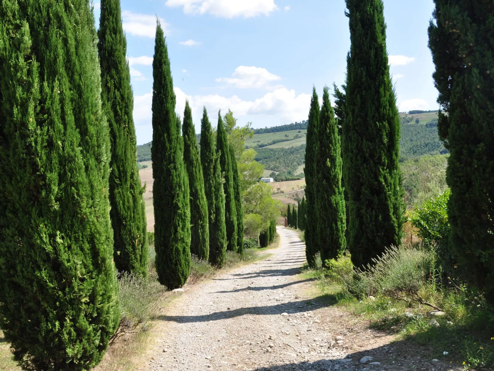 Bauernhof "Cetona - Buiten