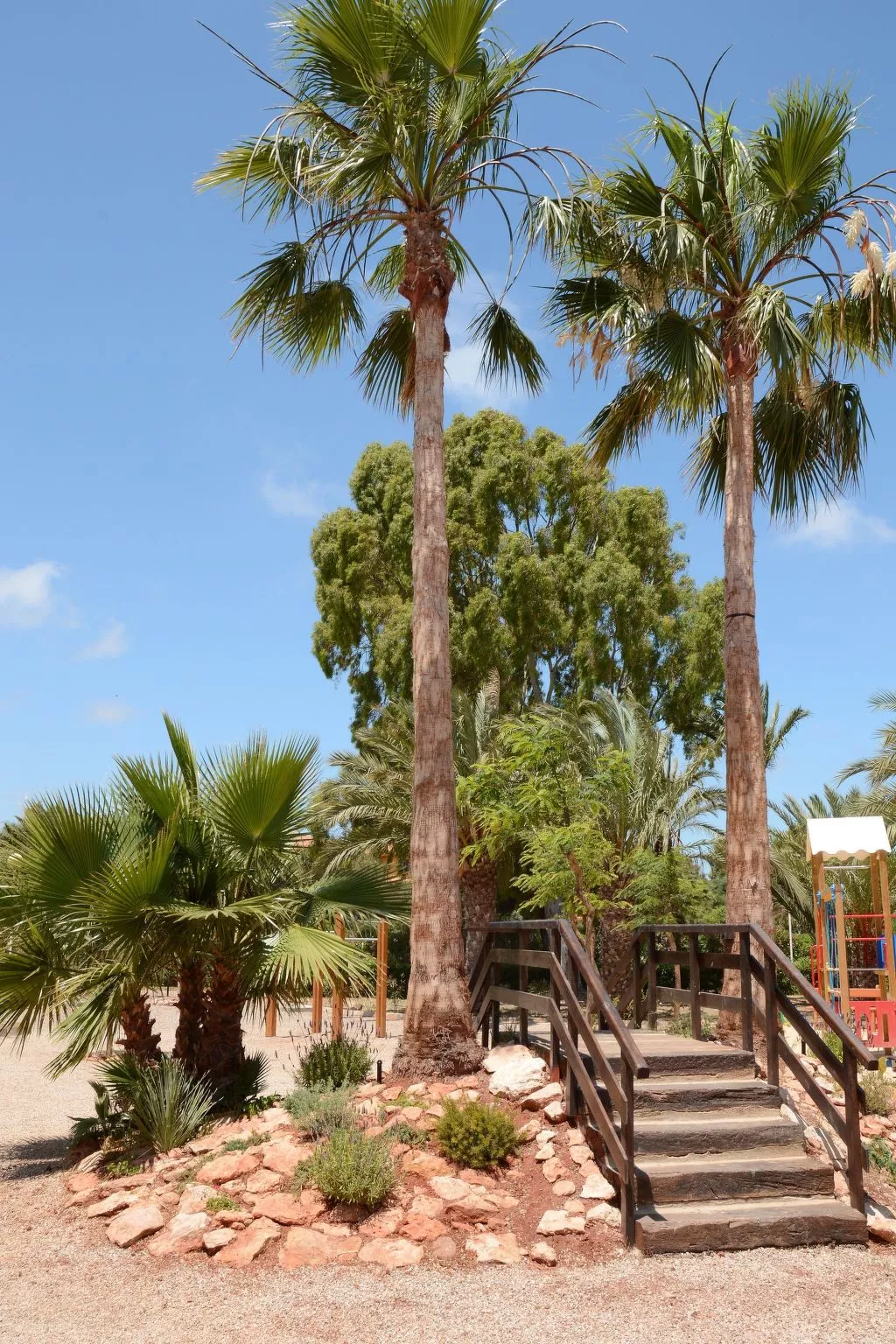 Oasis 11-Image-tags.info