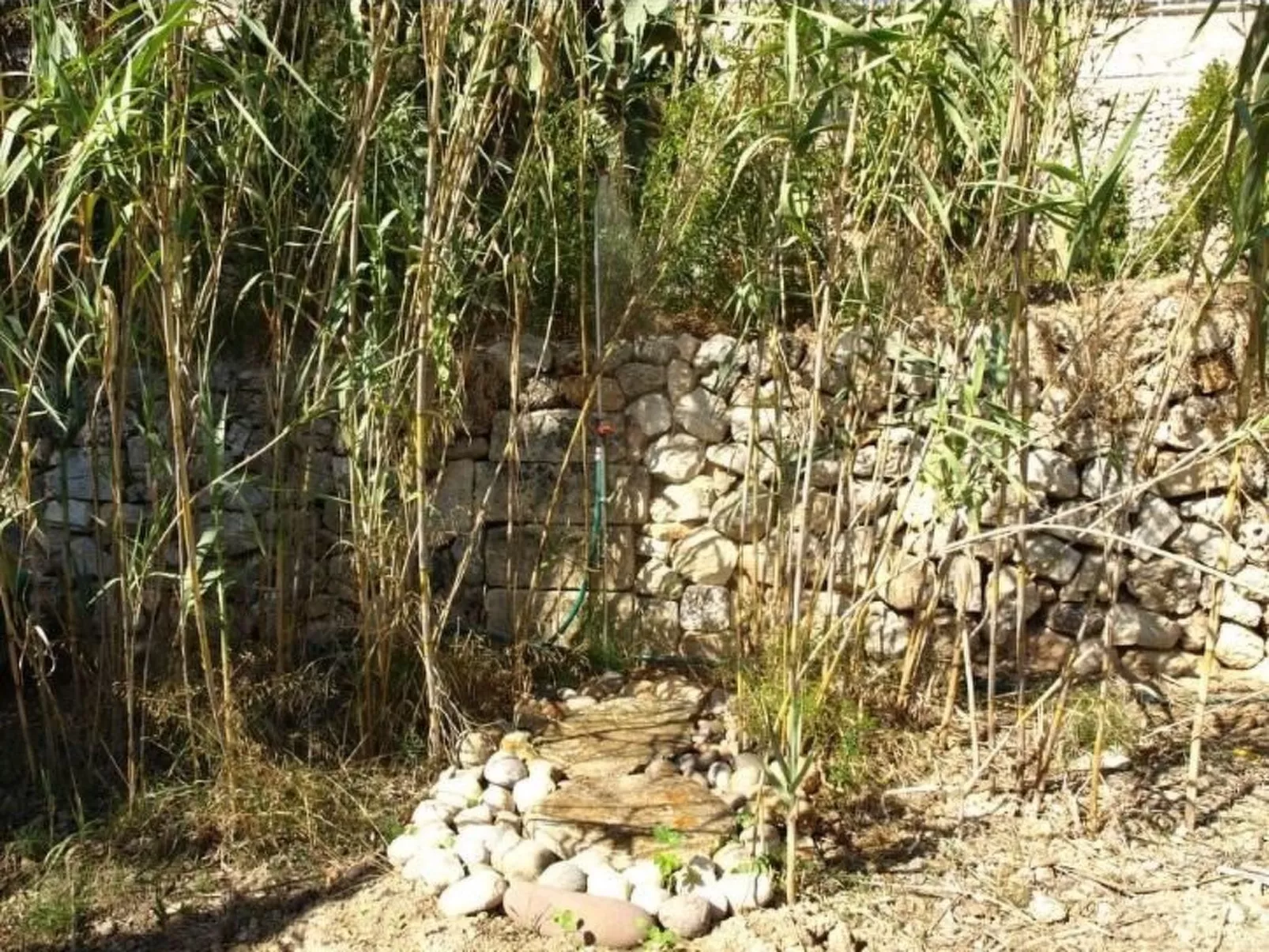 Finca "Mallorca Muro" mit Garten und Grill-Image-tags.info