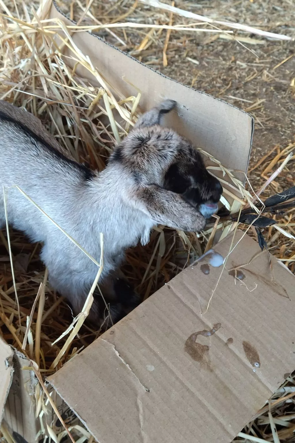 Residenz Heaven 43R-Image-tags.info