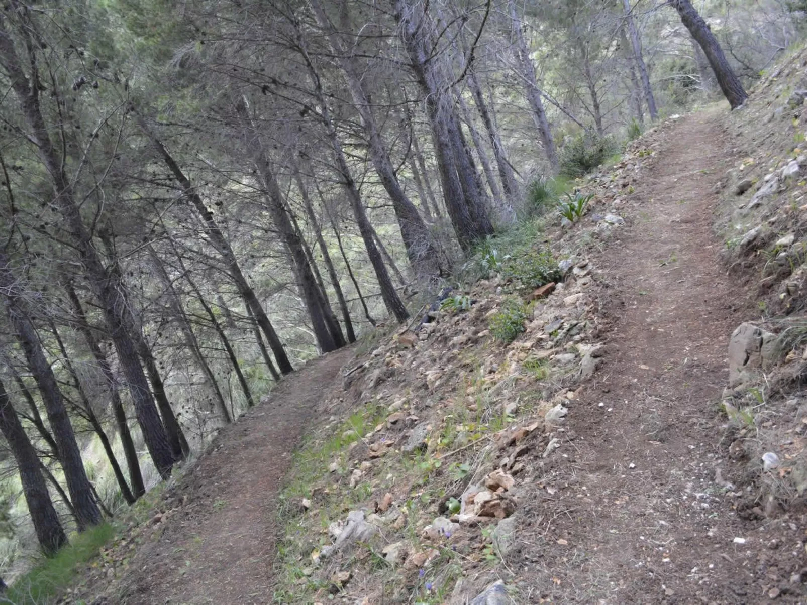 Mit Garten, Grill und Terrasse-Buiten