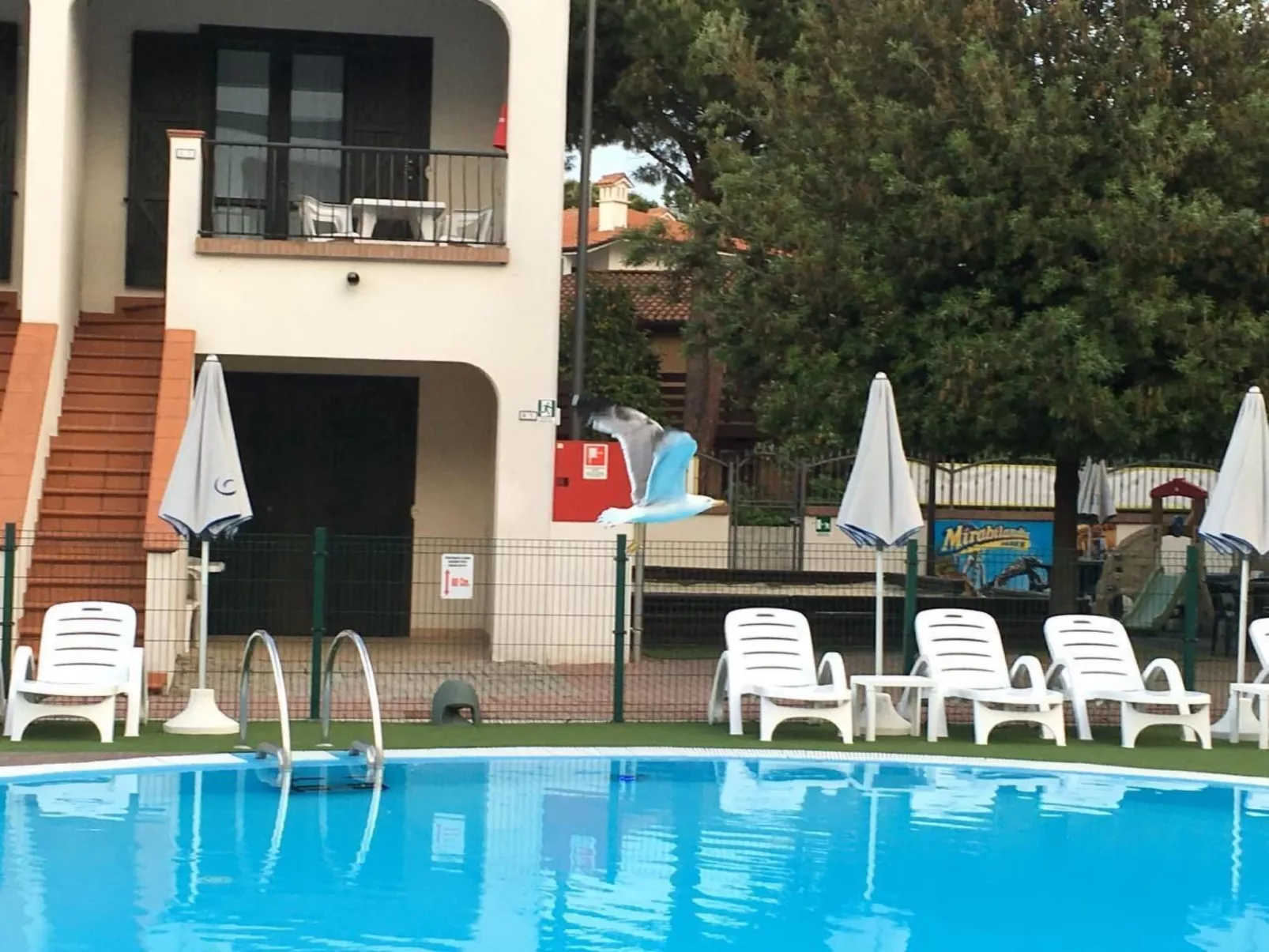 Michelangelo Suite Resort Dorado-Buiten