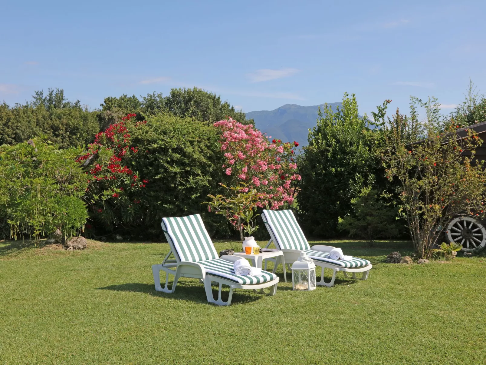 Inmitten von Blumen N.2-Buiten