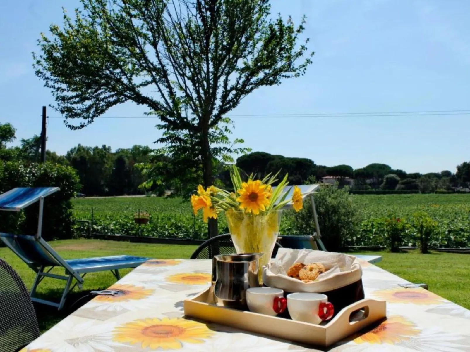 Wohnung il Comignolo-Buiten