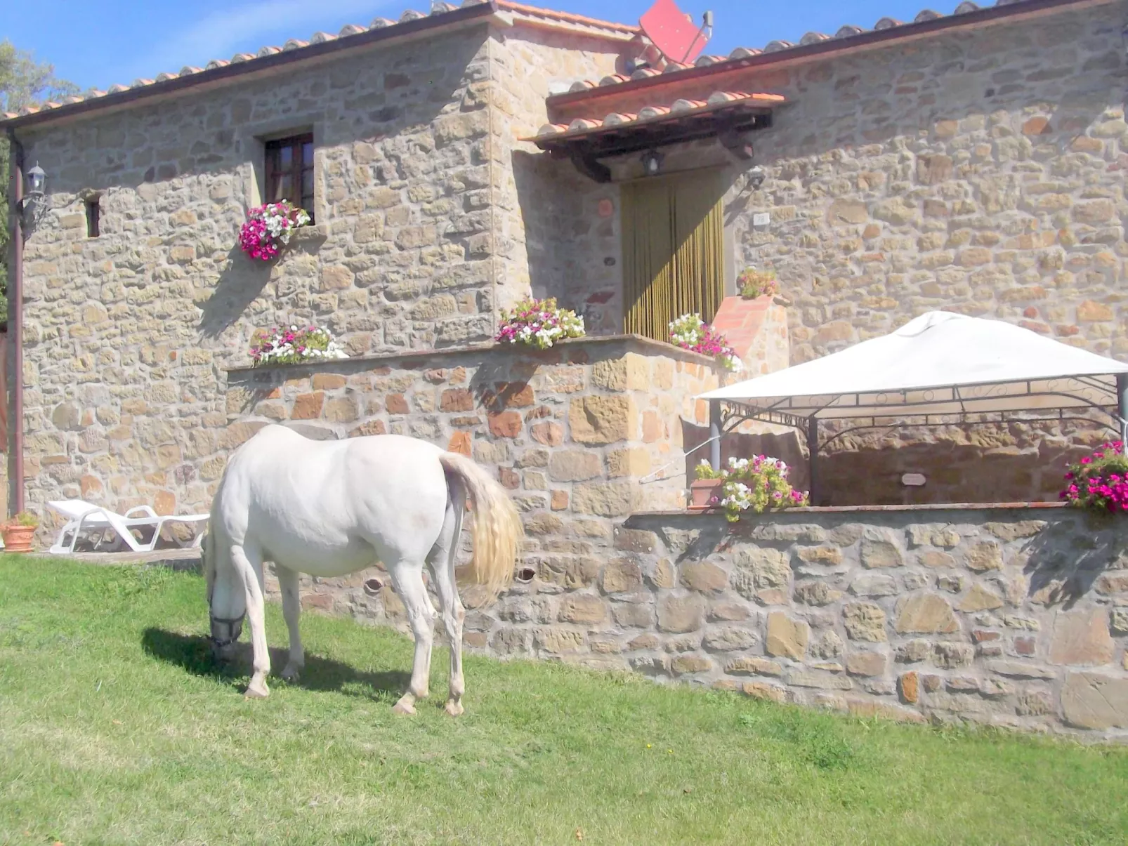 La Rosa Wohnung-Buiten