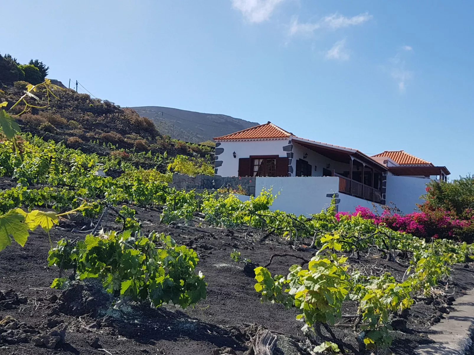 Mit Garten und wunderbarer Aussicht-Buiten