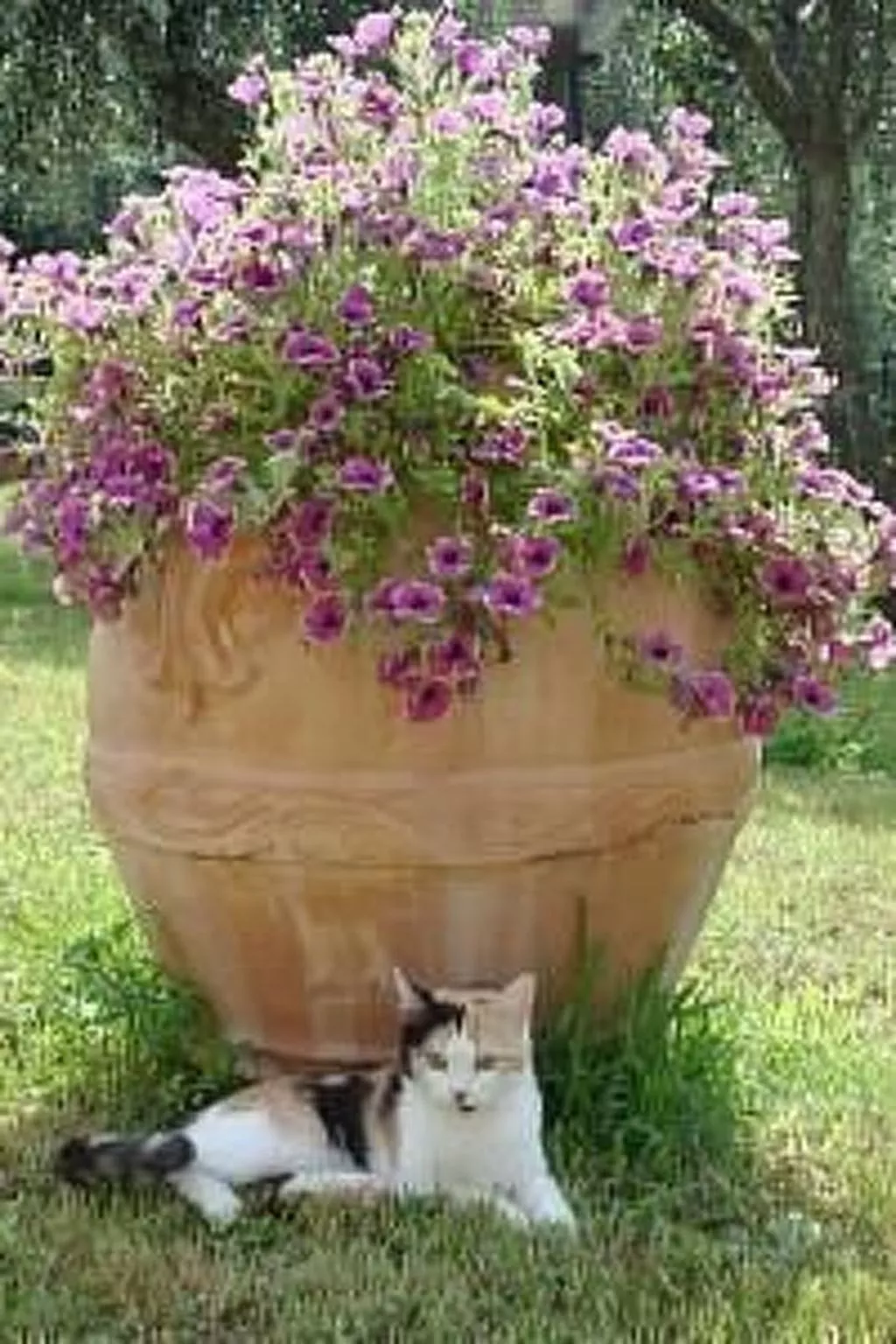 Die Scheune von Penelope-Buiten