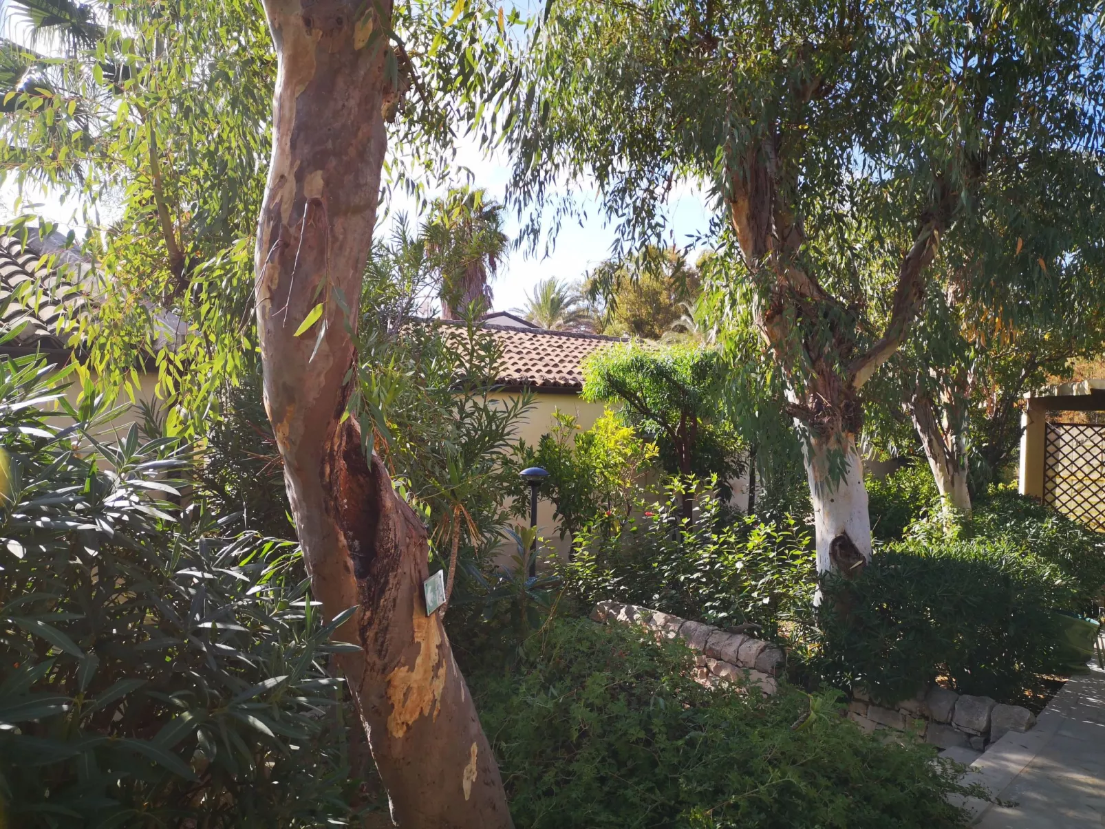 La Perla 5-Image-tags.info