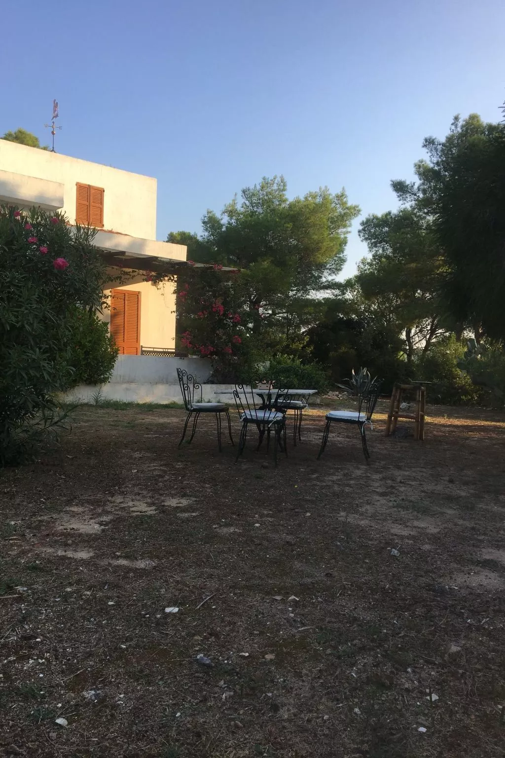 'Luciana' mit Wasserblick-Image-tags.info