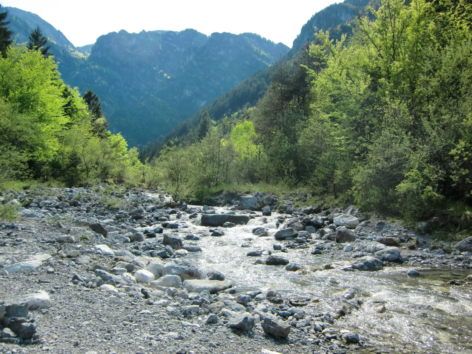 Erdgeschosswohnung mit Seeblick-Buiten