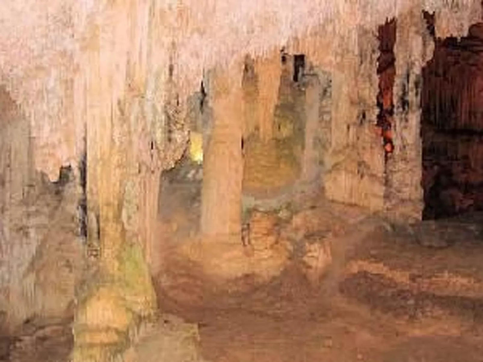 Sa Fiorida Alice-Image-tags.info