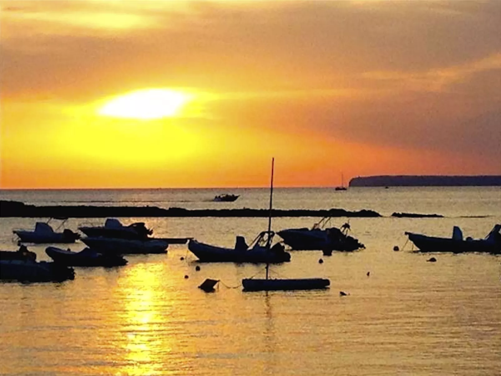 Finca Alfabia Campos-Buiten