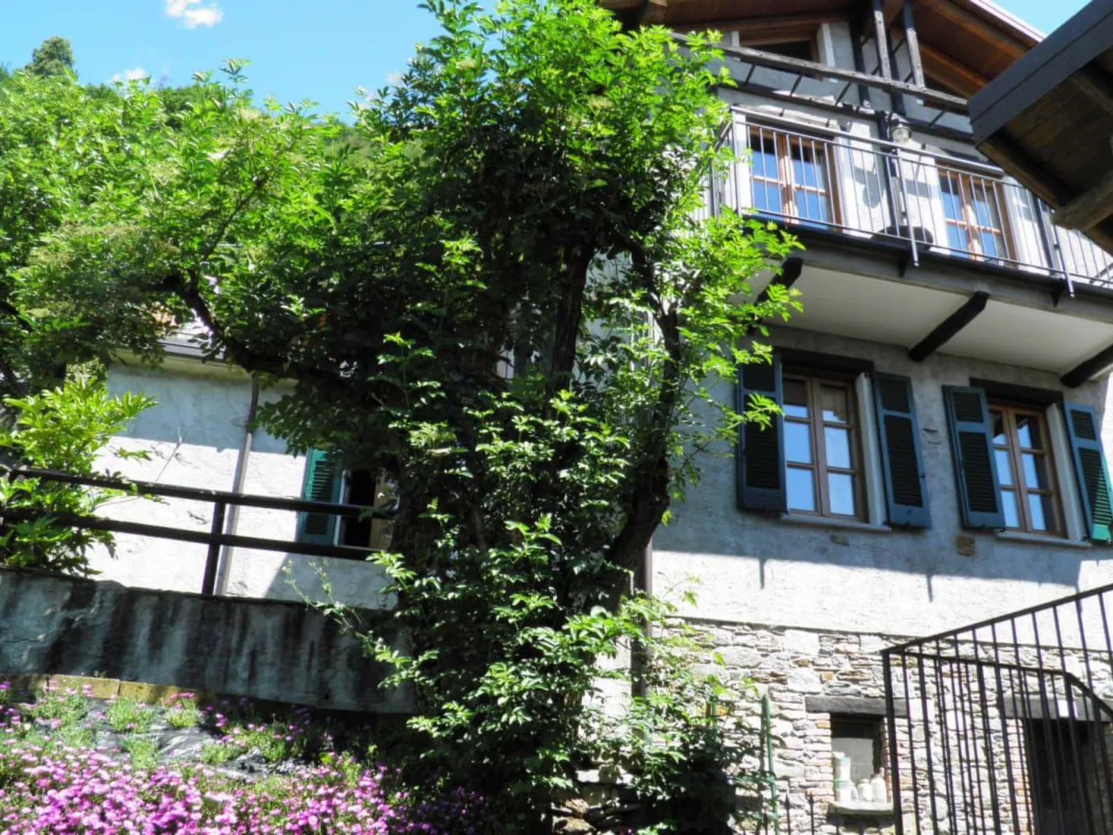 Rosato-Image-tags.info