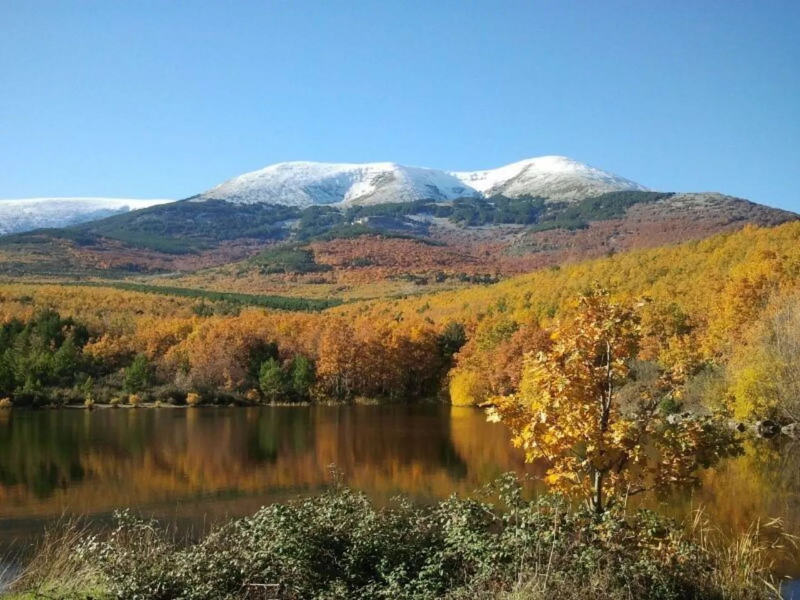 Weingut "Garnacha de Borja".-Image-tags.info