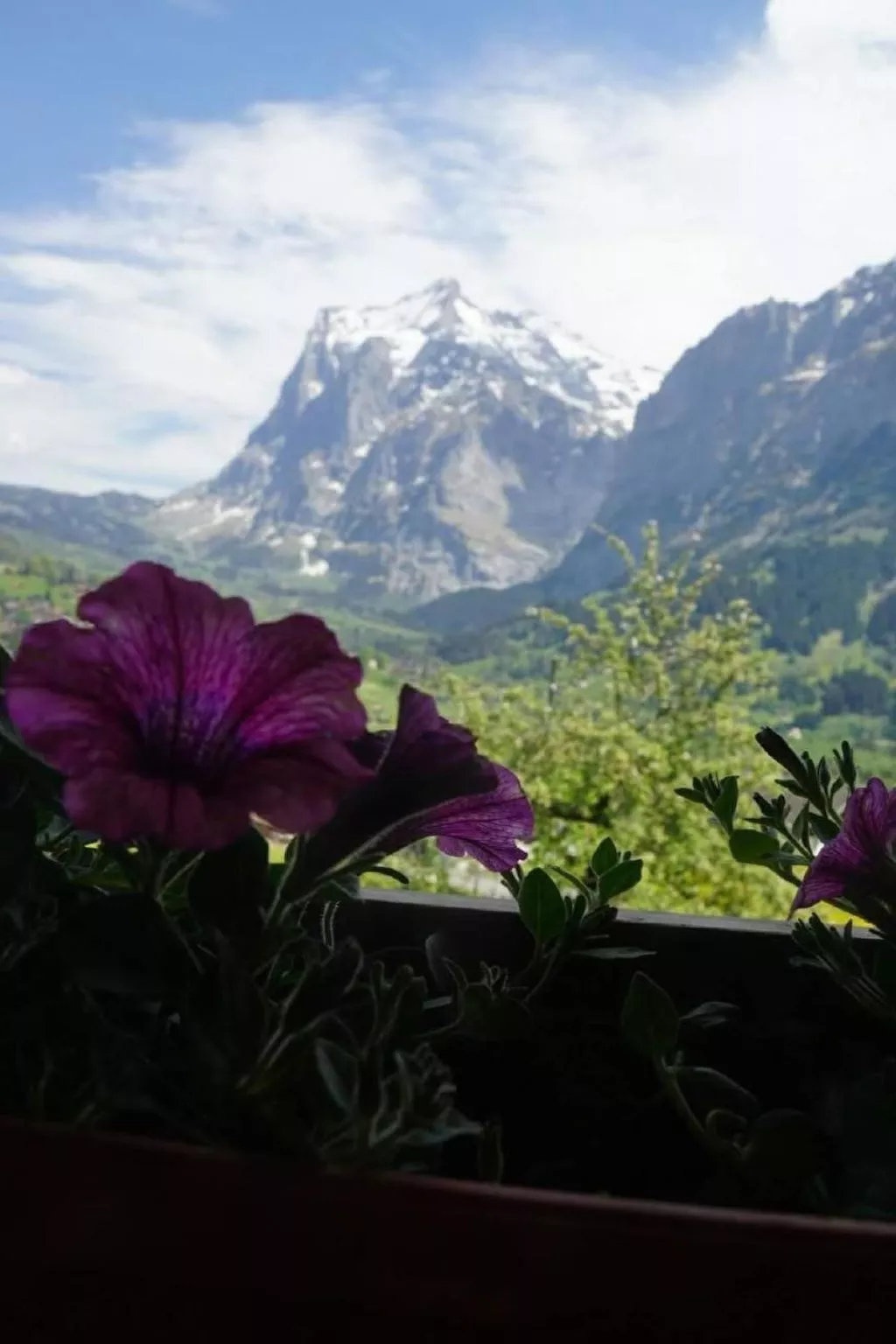 Bühlengasse 6-Image-tags.info