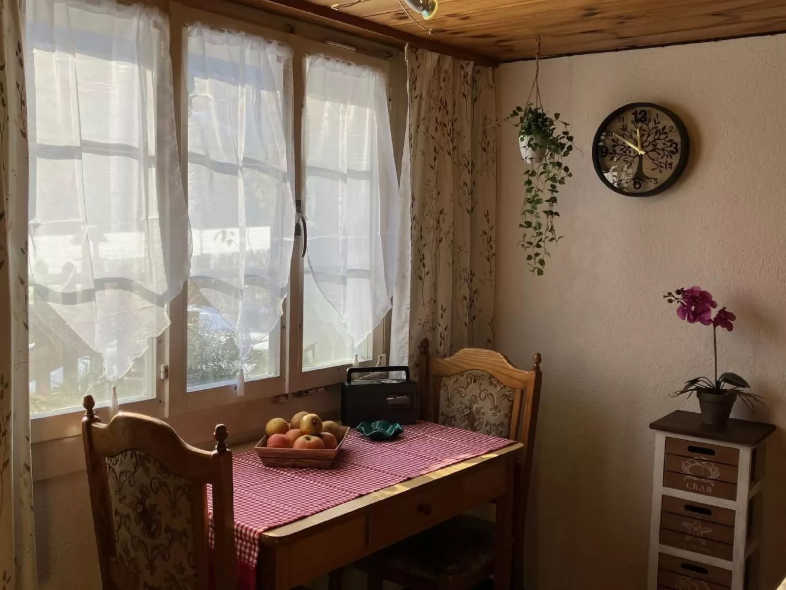 Gemütliches SINGLE-Studio-Binnen