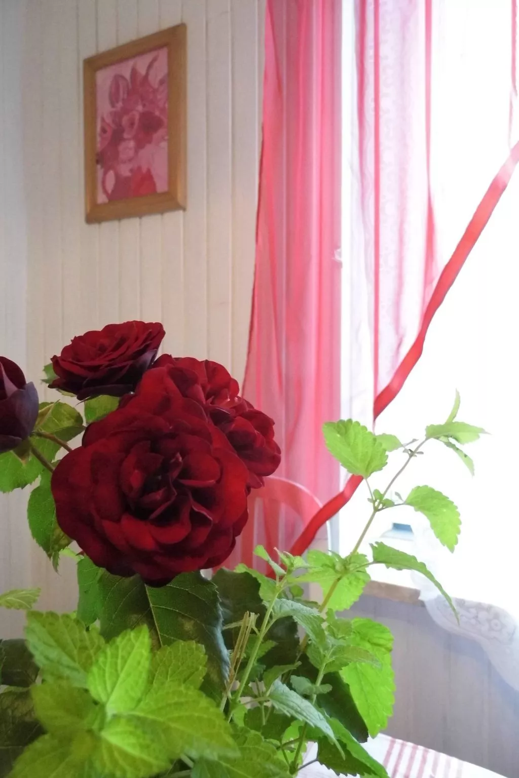 Wohnung in Radići mit geräumigem Balkon-Binnen