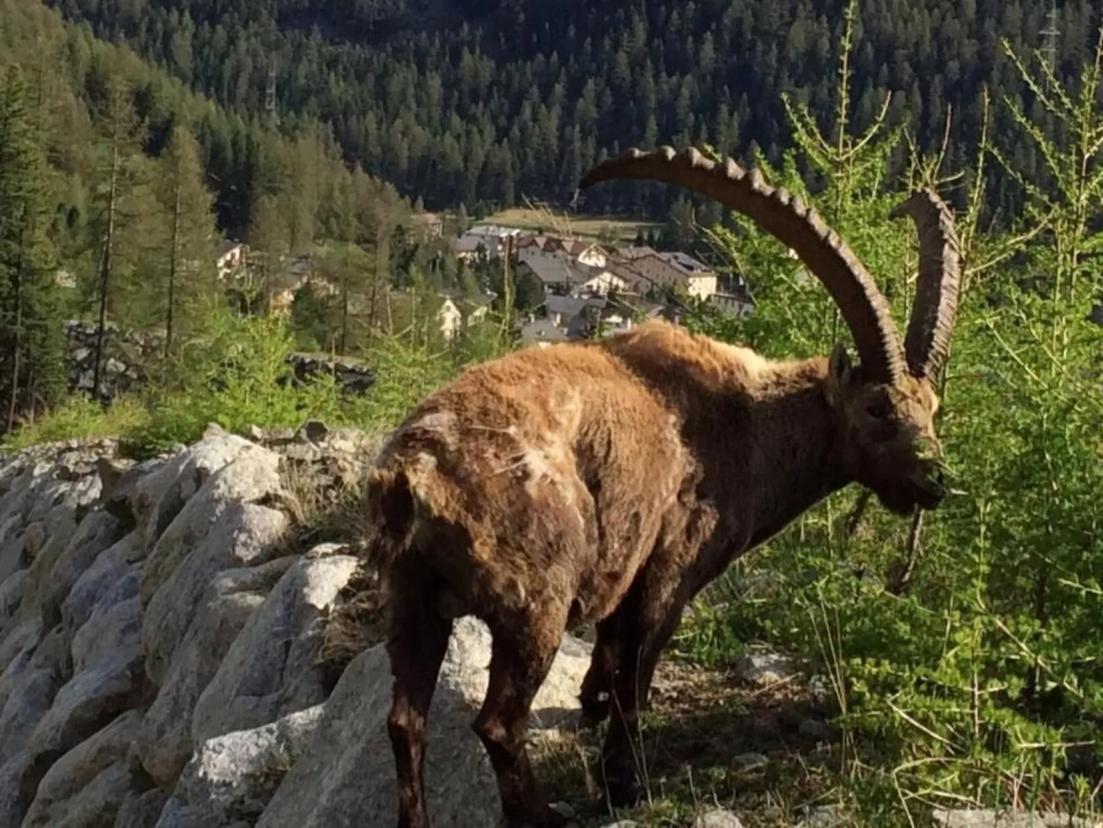 Chesa Andrea, EG-Buiten