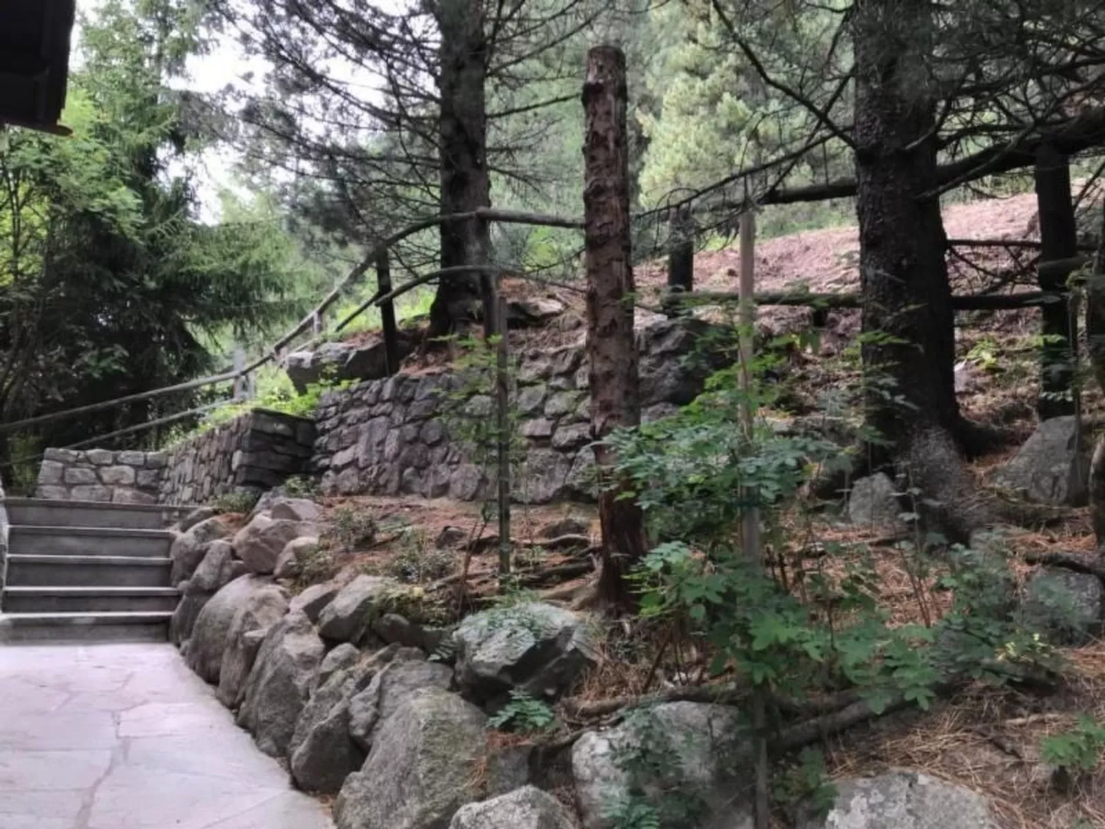 Chesa Trais Fluors-Buiten