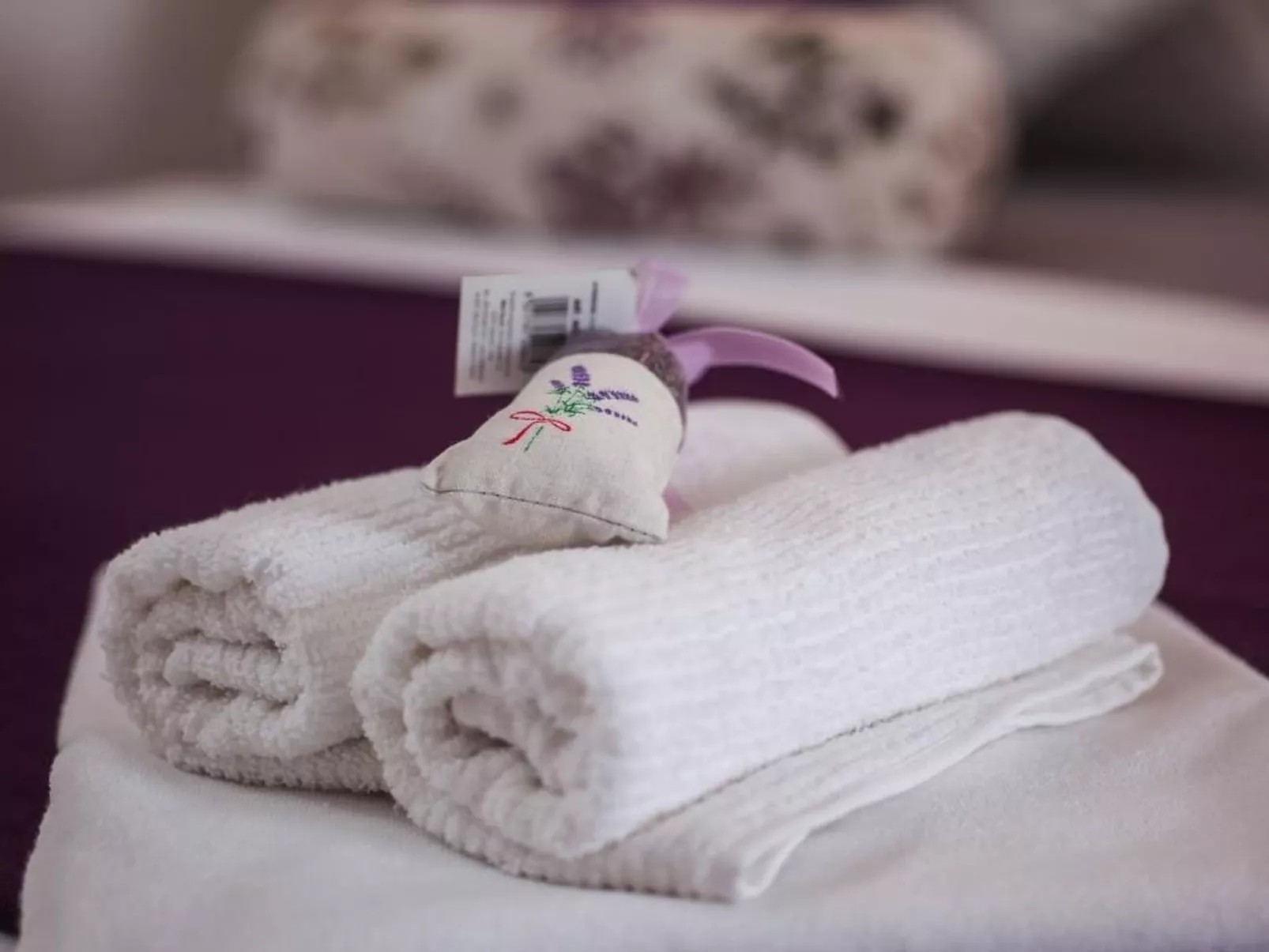 Haus Prezenca-Binnen